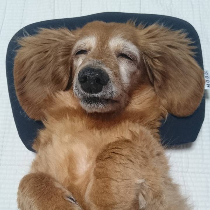 7dd3938a f333 4ca6 a393 b557fd2fac8f 1619196019447