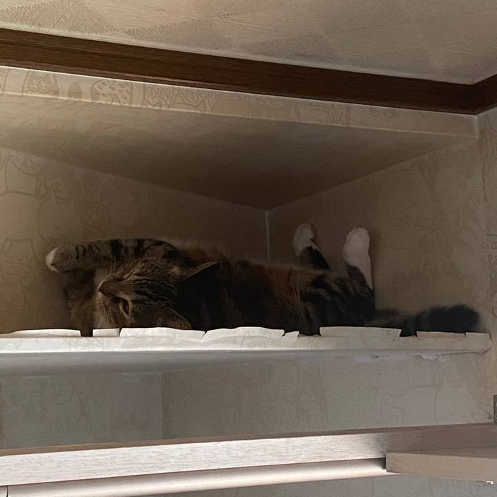 7dd39489 e0ae 4be1 a361 7827cb6655a9 1595466665652