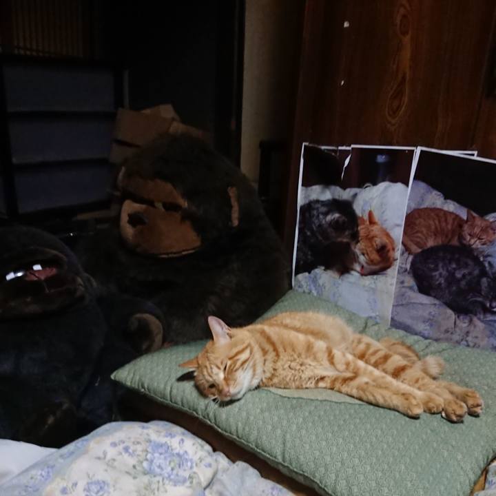 7dd3c942 a33a 4a61 9f10 2b2ac10b147a 1656680843728