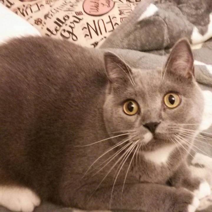 7dd3d1cb db01 4048 ad3b 047084a3d72d 1567879620158