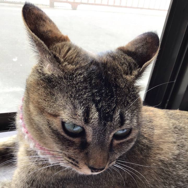 7dd3d7e7 ea7c 45a6 ba1e 1d3c259c5aa5 1625806516129