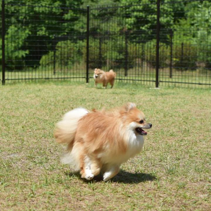 7dd3e41f 6987 4958 afcd ef2ec9120e6b 1527170642018