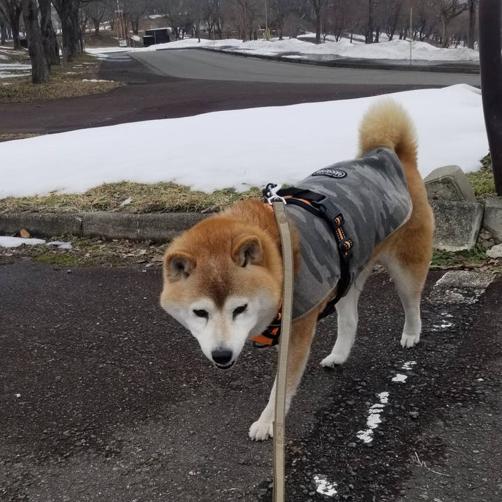 7dd408ce fb15 441c 8523 db91de33b8a4 1711337480884