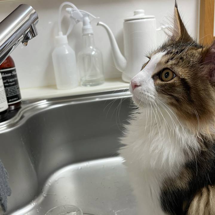 7dd4292f fc4a 4c44 b181 2e44cfcd9bbb 1636064549556