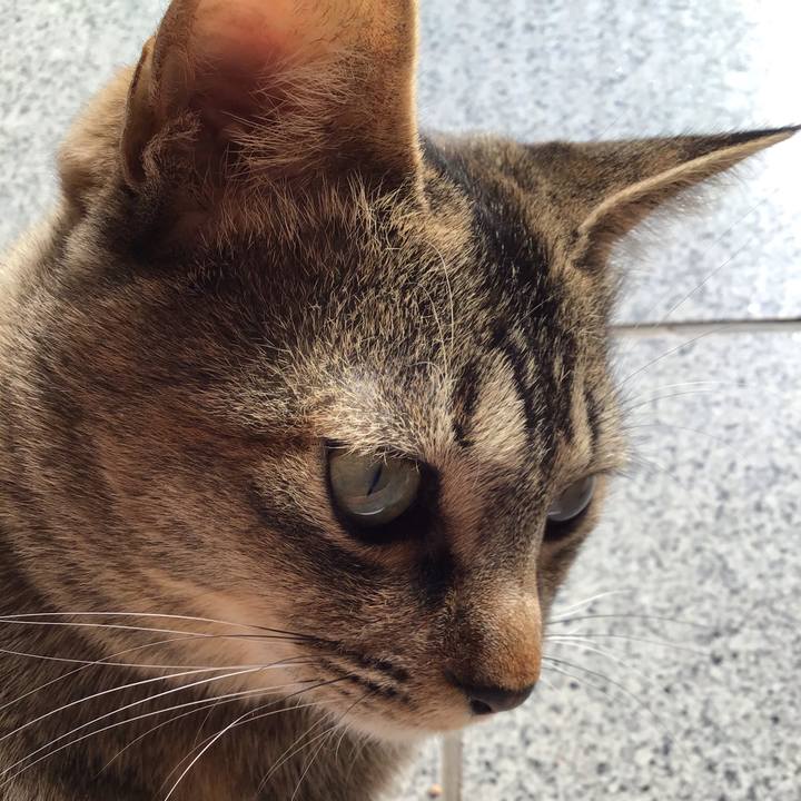 7dd45497 9d39 41b5 a007 6d899d2e6229 1580366099358