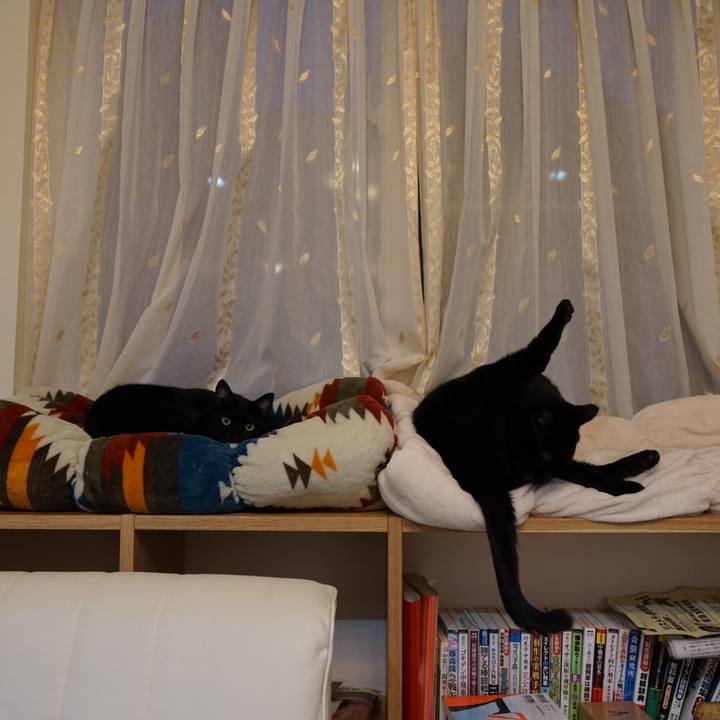 7dd46a76 5279 4111 8e87 7a52cf5e7a95 1544398950351