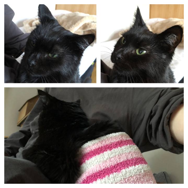 7dd48761 41f6 42be 8e6d f6887c73d43c 1610868019360