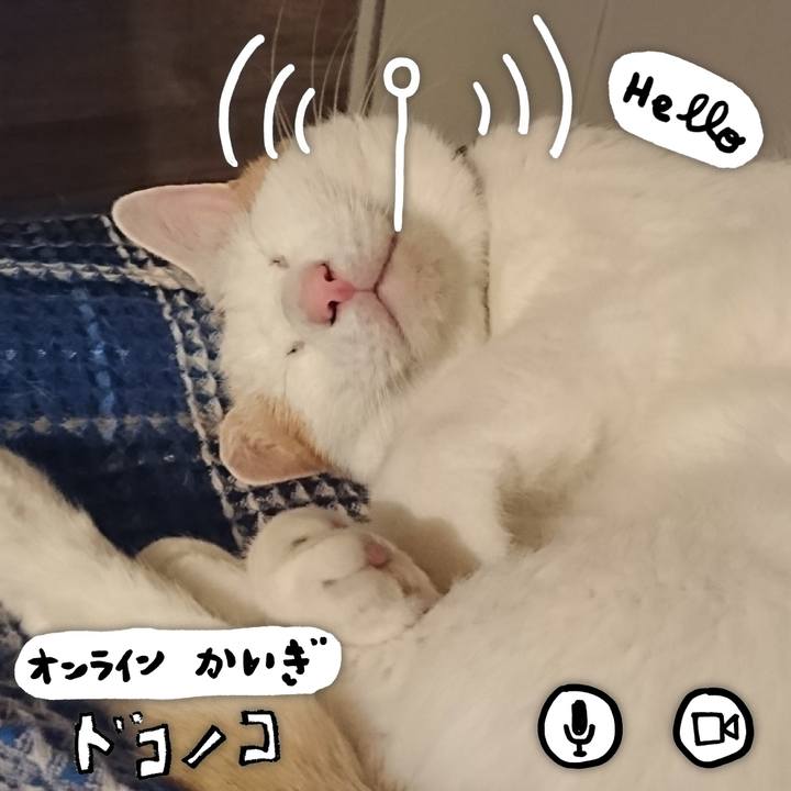 7dd488a1 749a 4864 8e3e 5cf498e5d384 1590725577725