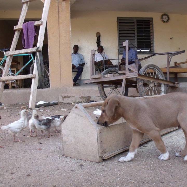 7dd49f35 a3ab 4271 a15d e0717b328f1b 1550051106064