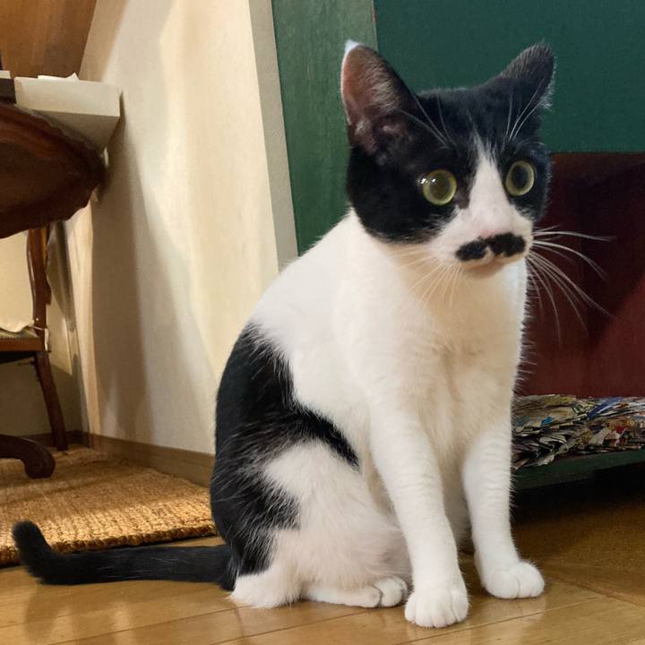 7dd4aef8 093e 4645 88d3 b8d013275d5c 1756822680752