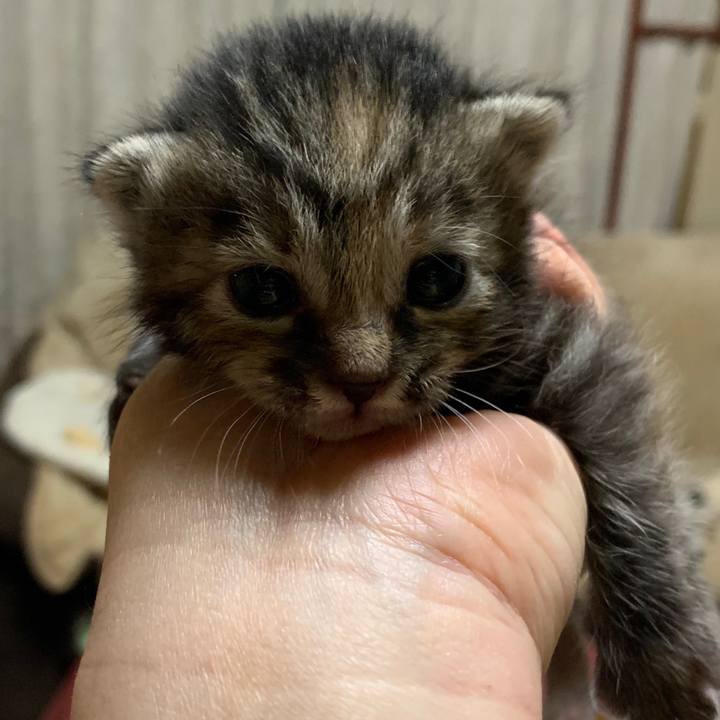 7dd50ddc ff18 4593 a094 eef4d745a20f 1555328044667