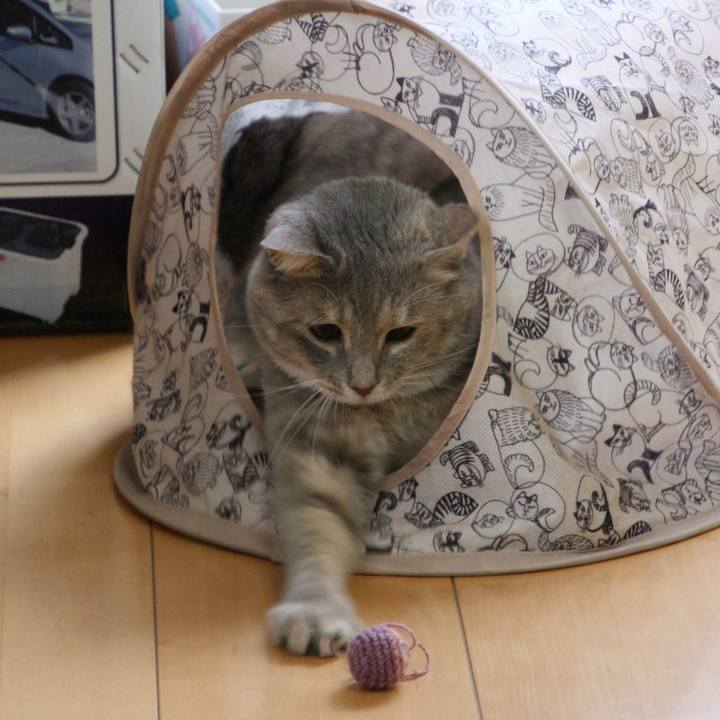 7dd54bac 7d7b 40cf aa86 df0fefabf22e 1533012691196