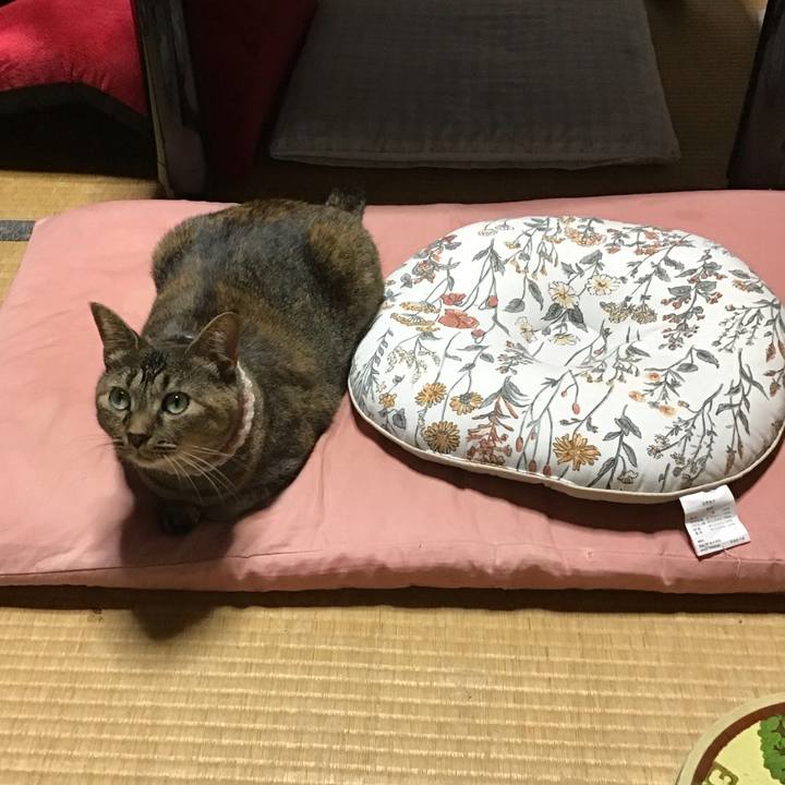 7dd56991 103b 4a92 ae6a 4a03c230000b 1694607682207