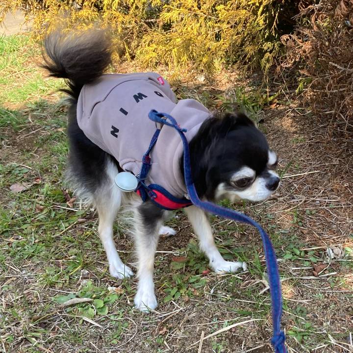 7dd5aa09 85d5 4f80 967a 05e42689b4e1 1708251039584