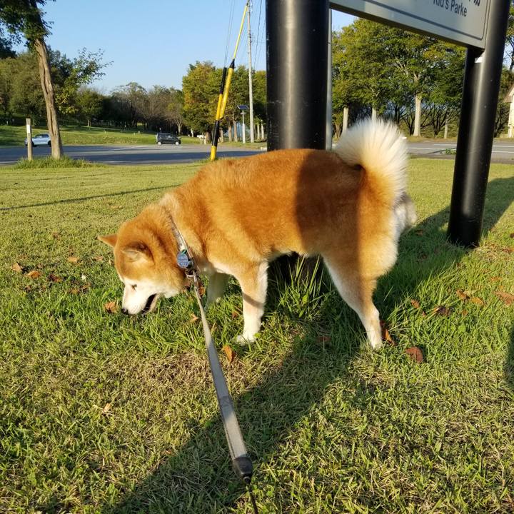 7dd607b1 8794 4448 8f9b 77c2da13fb95 1633590283803