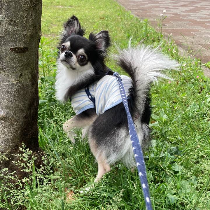 7dd64565 a9c2 4ad5 9028 69d61406f0c3 1652534222216