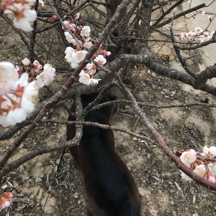 7dd64b45 58d2 49bf 81bd 63f8c88016d5 1552810145558