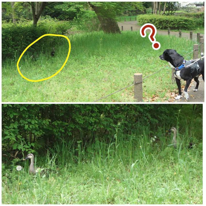 7dd65b61 6acd 4a52 8bca 3f973e80bb65 1650675346557