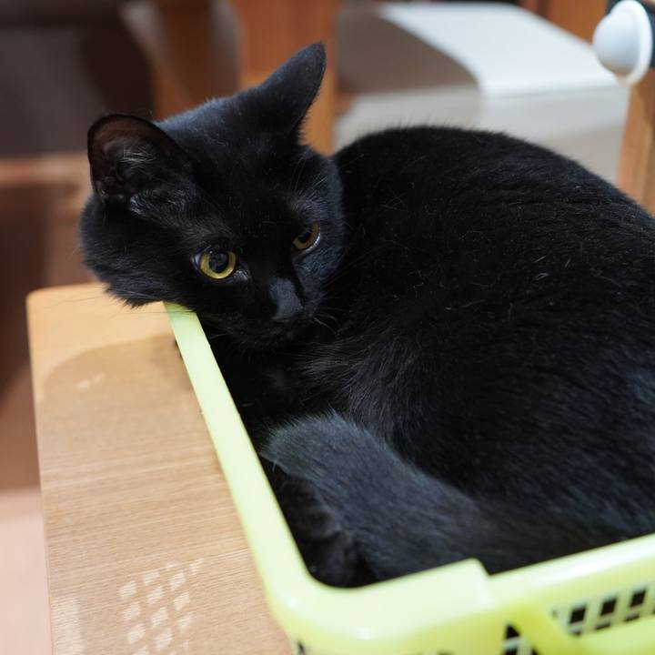 7dd672c1 4d4b 4085 b215 f0e08b33c542 1591276178107