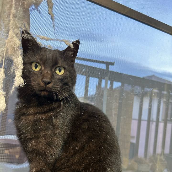 7dd6cf26 8dc1 47df b924 02a1444158e6 1705575275040