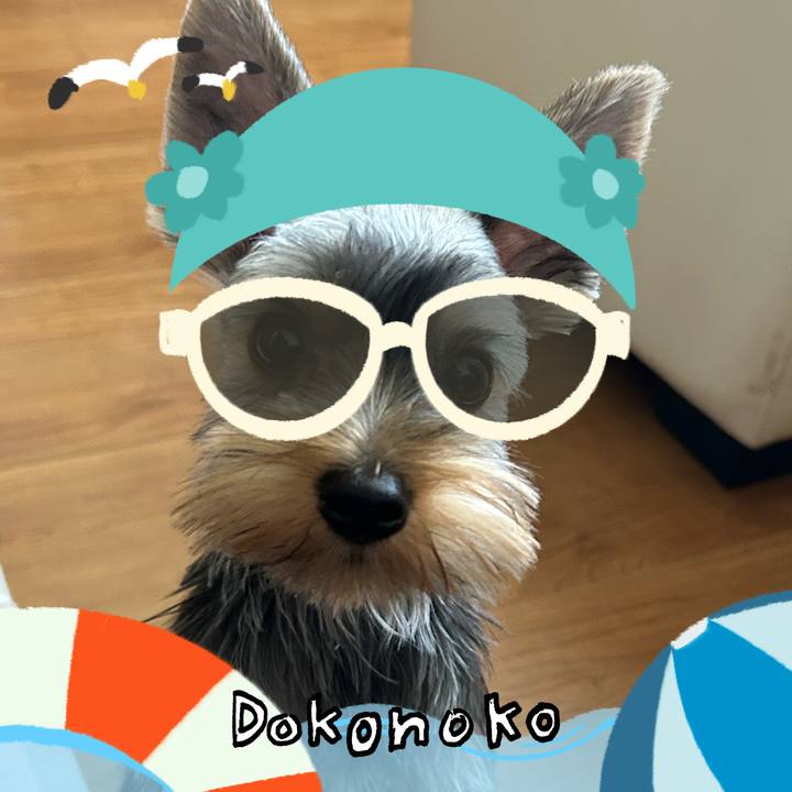 7dd6ea66 f01e 45a1 969b 97e0a009a6ec 1723766918838