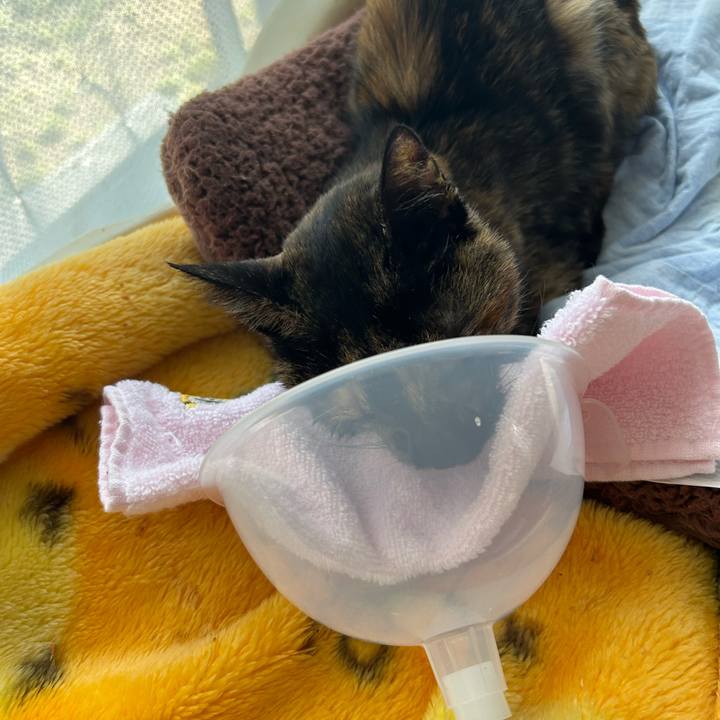 7dd709c7 7b96 424a 8d8c 5296844446a5 1679207357192