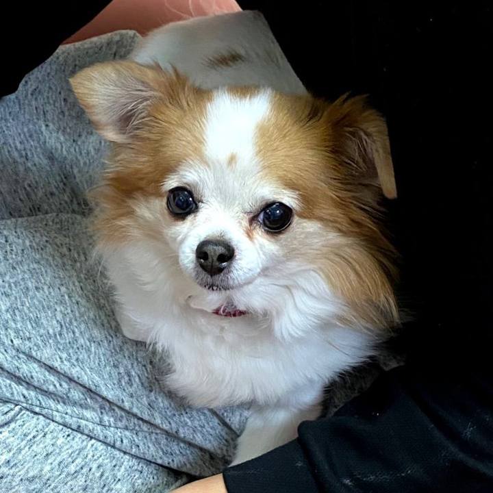 7dd78d8c e629 4012 9856 c0fdcb7dd48b 1581338638987