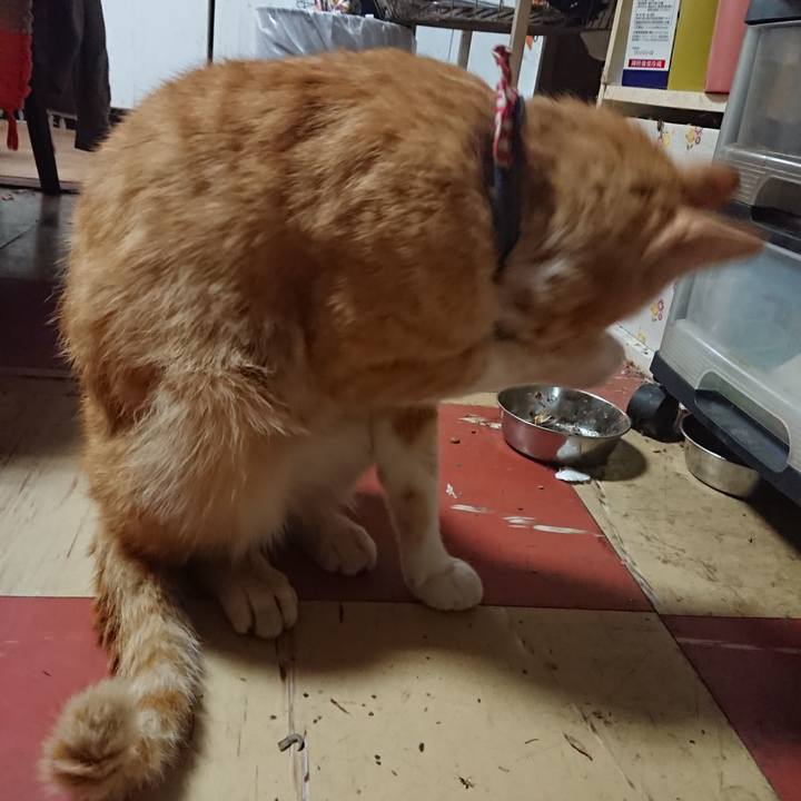 7dd7ad69 297c 4a0f 9136 1142aeae4a9b 1558813828351