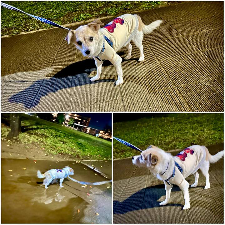 7dd7c19c c609 4d79 8c44 141096549dc7 1697368821363