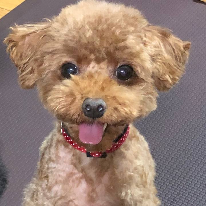 7dd7caf2 63cf 4b1f bb9b 911efa3223be 1566858717670