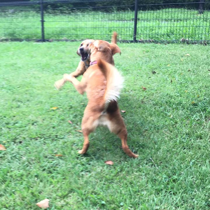 7dd7e00a 901b 4fcd ba7b d574915a2e20 1535453969543