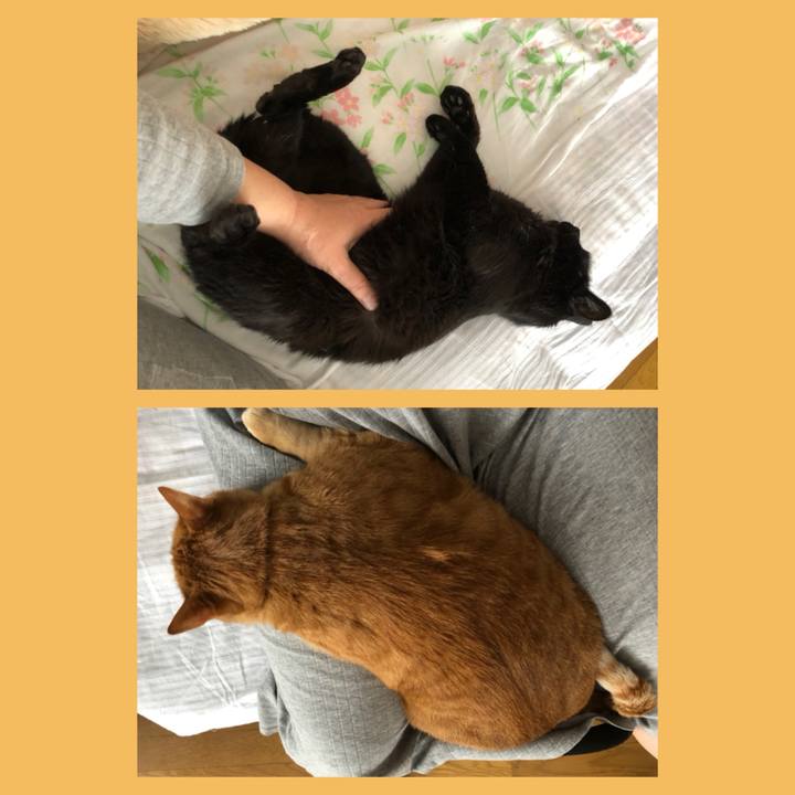 7dd7fb56 29aa 436a a233 a2c04fba1e87 1583625109177