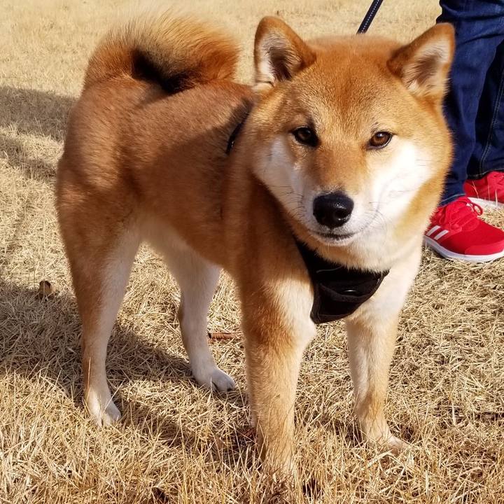 7dd83364 8cd2 48fe 8795 fb6013513328 1546768841748