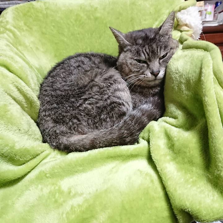 7dd840d8 1f79 49e5 83df bfb4d02e857d 1582414675880