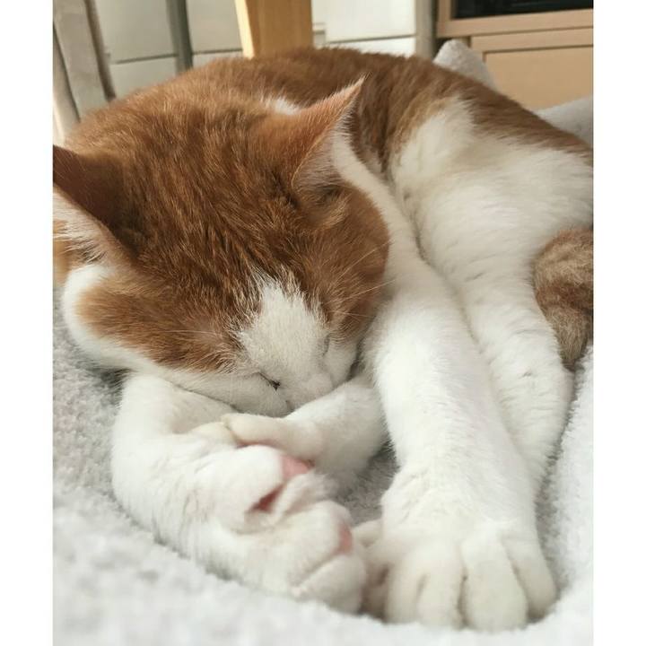 7dd86318 86c8 44fc 99d9 0bea3f28548b 1540849398296