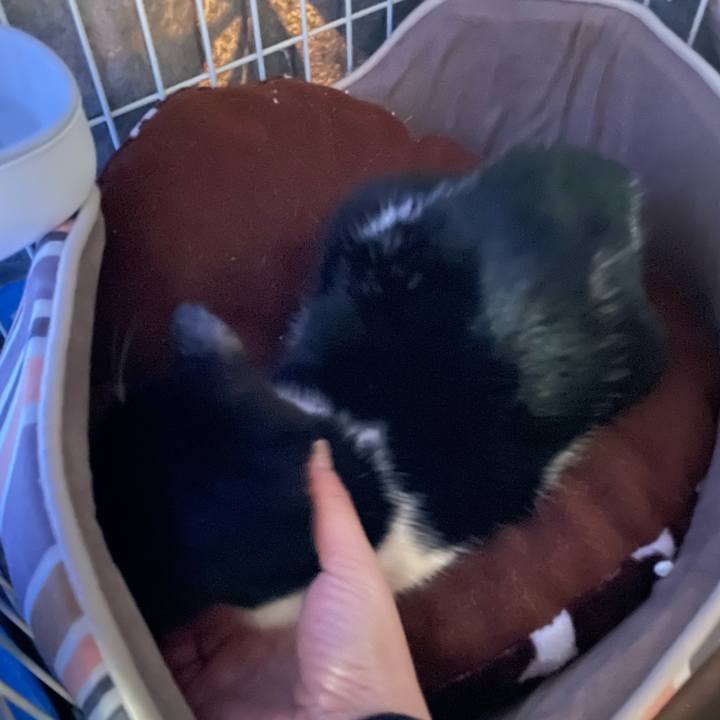 7dd88c38 070d 4dcc 956a a3af31de7dab 1676001468315