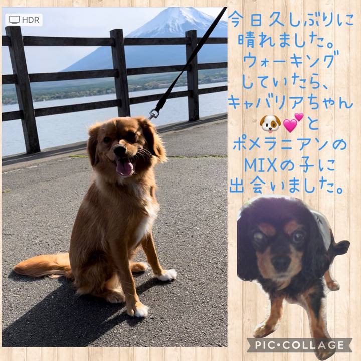 7dd8ba5c c437 47d6 ae7c abcc3e1edf4f 1652188624403