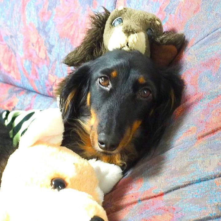 7dd8bcbc f855 4d0f 9e5d c4d2d6e88861 1526427016142