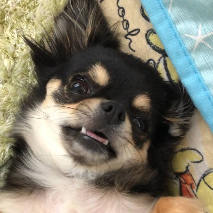 7dd8e0a8 ec0b 4ec3 8d9b 32a4dac3df64 1557960139687