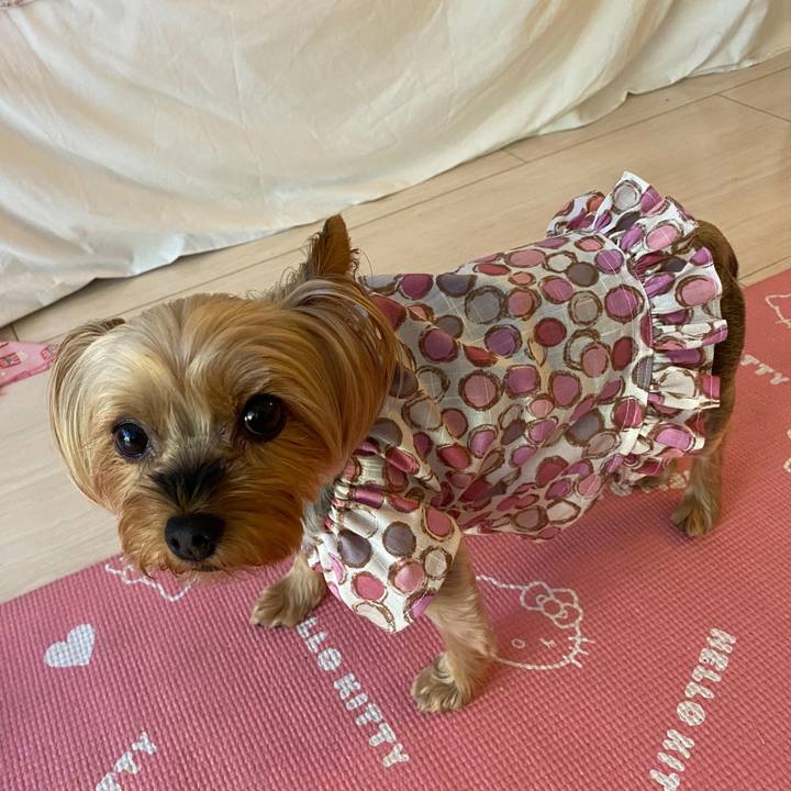 7dd8f183 cd26 403a b561 448d6d6d5f46 1630150748880