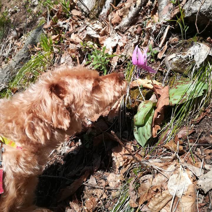 7dd8fd66 a21f 47e5 be40 edc7cabe0ac6 1556630458203