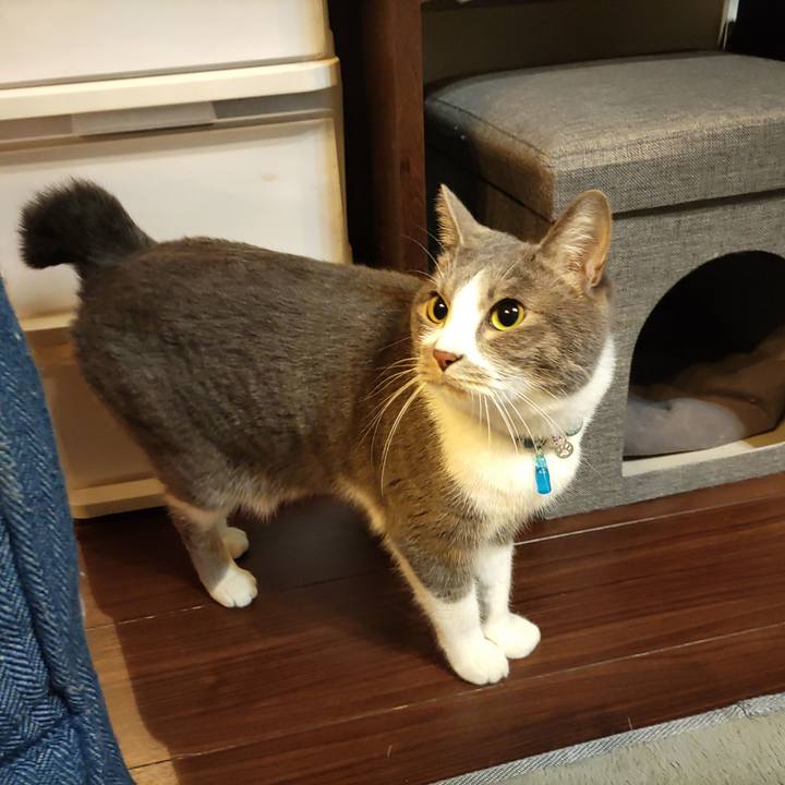 7dd9044b 881b 4eb4 85e9 f69e1e8e16f0 1675978703553