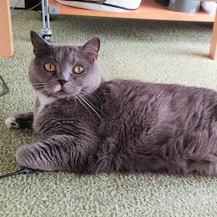 7dd907cb c092 43a1 8db4 236db43a4c01 1772248957945