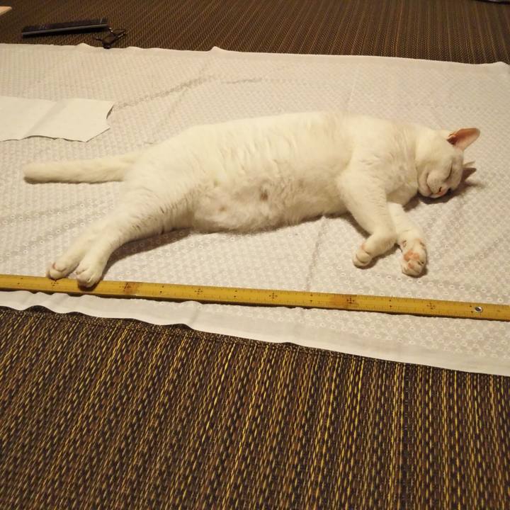 7dd924c6 dbf9 4007 9791 075bdbaf53bc 1563718703951