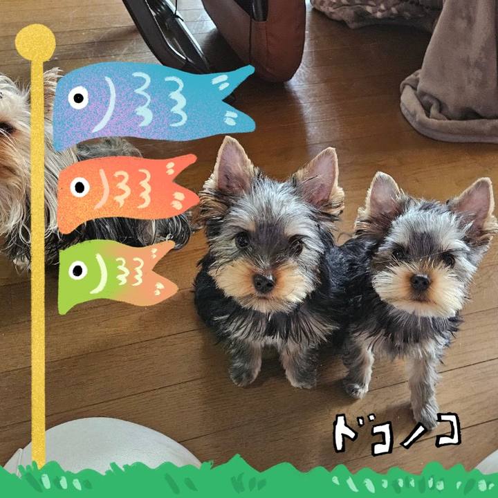 7dd97828 39f2 4c08 b28a 277bfd07ee7d 1715351575150