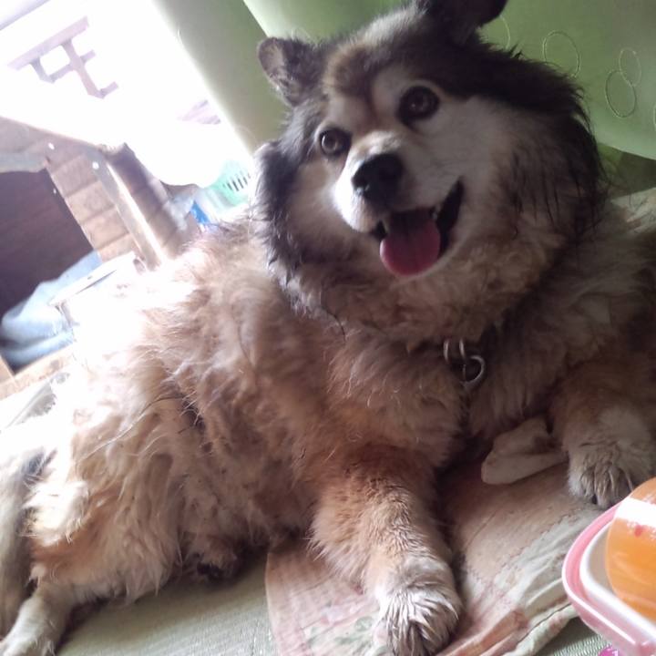 7dd9b7d2 b2ed 40fb ad02 572547198cf7 1637970057865