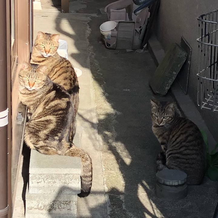 7dd9f5df eee6 4f6c 9b10 f3a499b49820 1523738317586