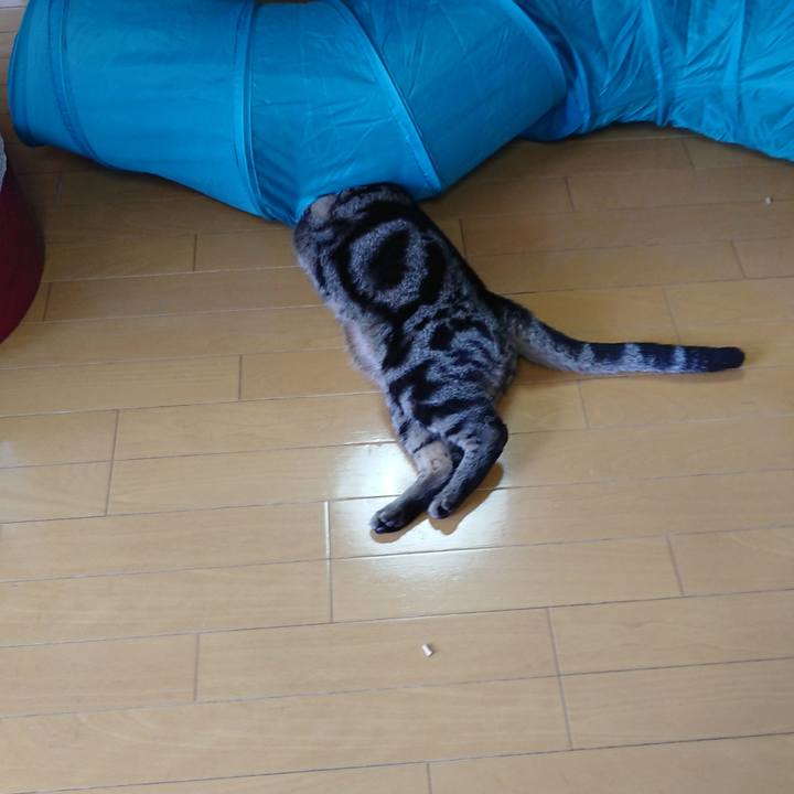 7dda2370 1b44 4834 9abb 0d0895ab7ec9 1559788452851