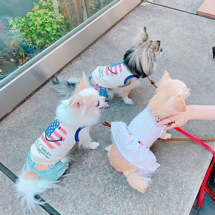 7dda6cf1 a5ee 4a3a a51f 215ca84260e3 1631790543397