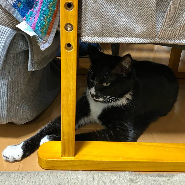 7ddaadfc 8603 4e29 a152 b97b5633b116 1760070769230